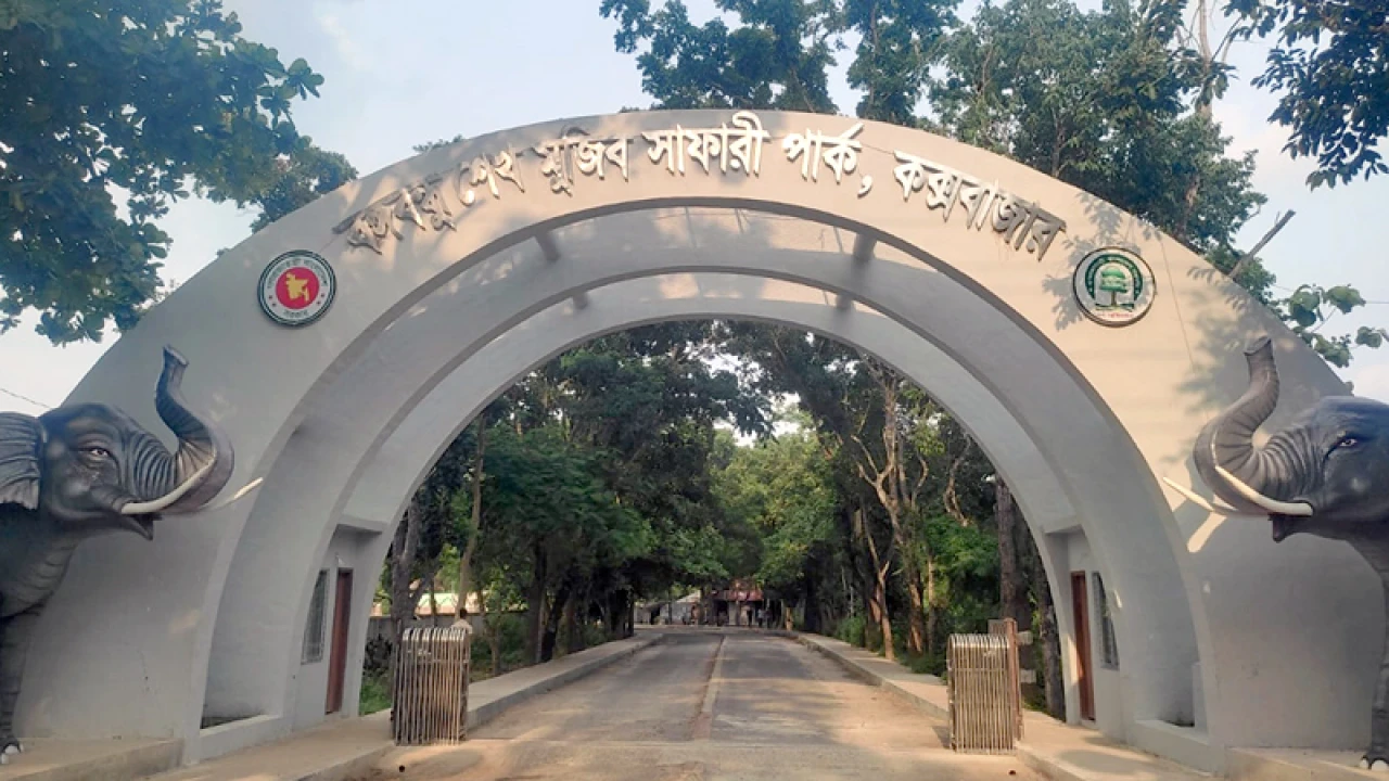 চকরিয়ায় হাতির আক্রমণে দুই শ্রমিক আহত