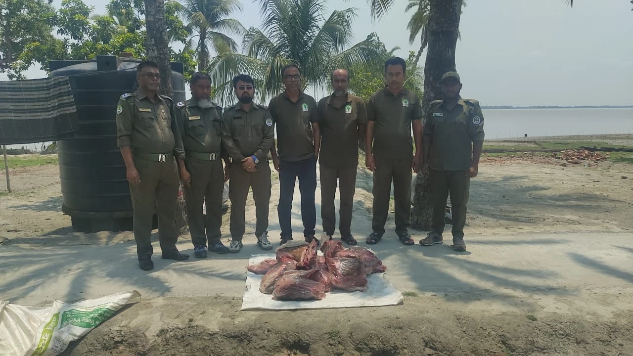 সুন্দরবন থেকে ৪২ কেজি হরিণের মাংস উদ্ধার