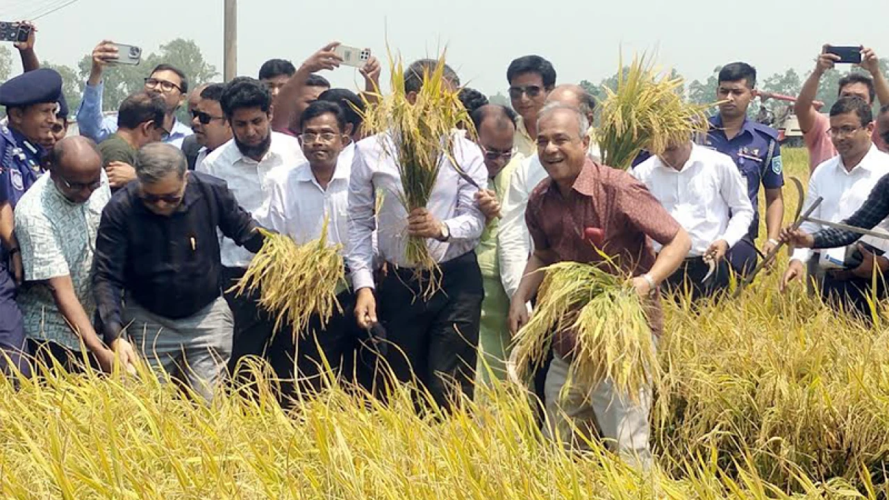 দেশের সীমান্ত সম্পূর্ণ সুরক্ষিত রয়েছে: স্বরাষ্ট্র উপদেষ্টা 