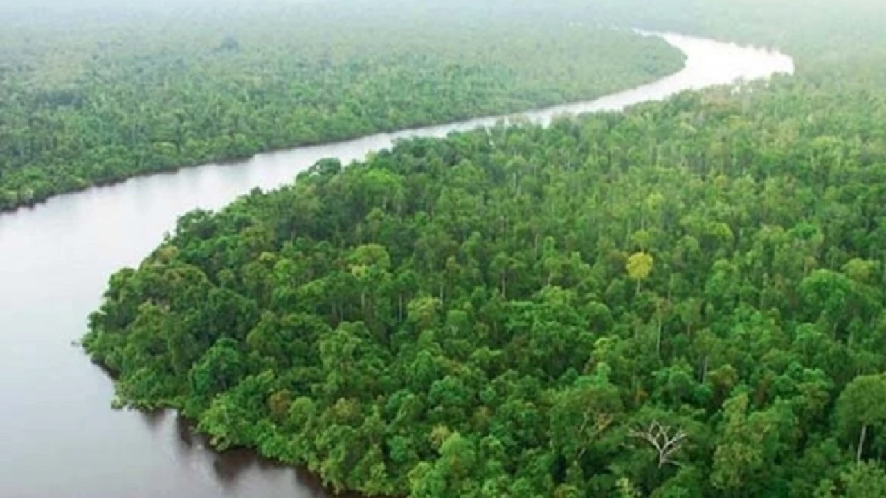 সুন্দরবনের ১০ কিলোমিটারের মধ্যে শিল্পপ্রতিষ্ঠান স্থাপনে নিষেধাজ্ঞা