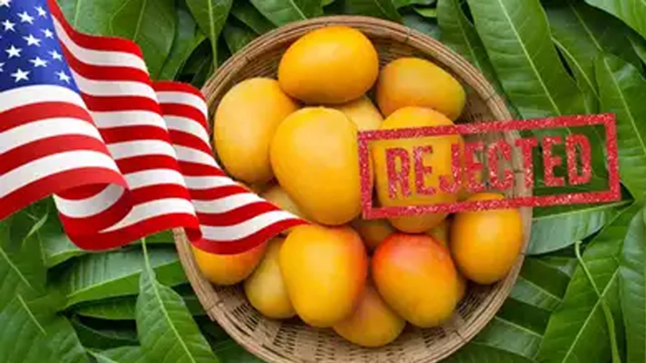 ভারতীয় আমের চালান ফিরিয়ে দিল যুক্তরাষ্ট্র