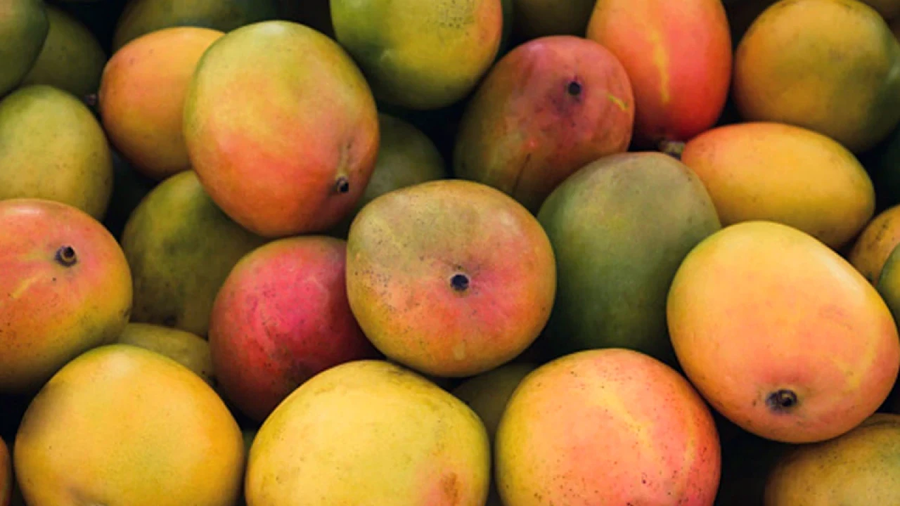 কেমিক্যাল দিয়ে আম পাকানোয় ব্যবসায়ীকে জরিমানা