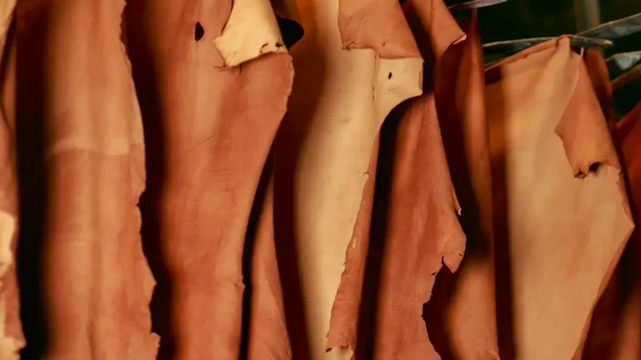 কোরবানি পশুর চামড়া সংরক্ষণ নিয়ে যে সিদ্ধান্ত নিল সরকার