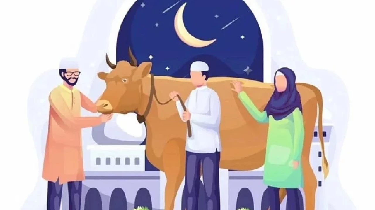 কোরবানি ঈদের আগে যত প্রস্তুতি