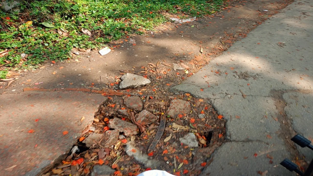 জাবি শিক্ষার্থীর মৃত্যু: সড়ক সংস্কারে নেই দৃশ্যমান উদ্যোগ