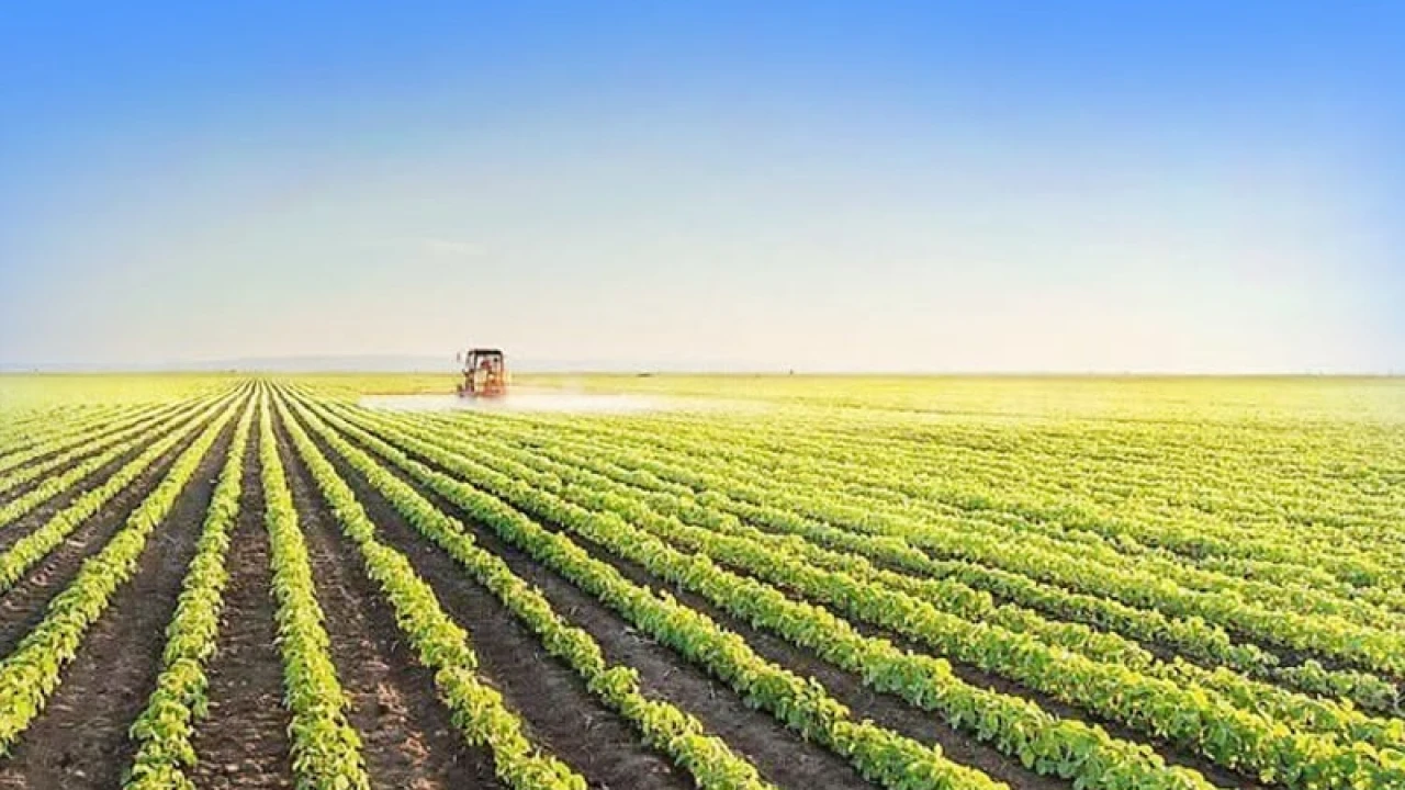 খাদ্যে স্বয়ংসম্পূর্ণতা অর্জন করল বিশ্বের যে একমাত্র দেশ 