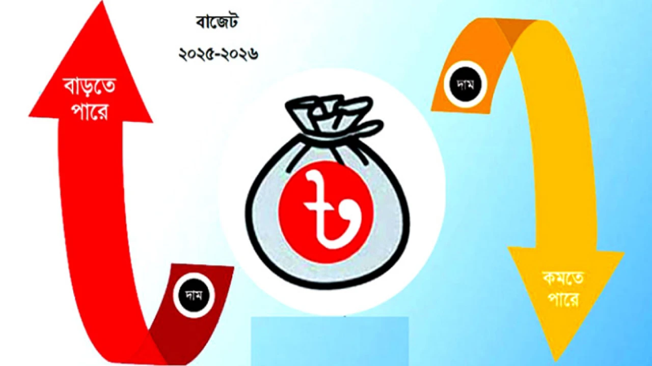 যেসব পণ্যের দাম বাড়তে-কমতে পারে 