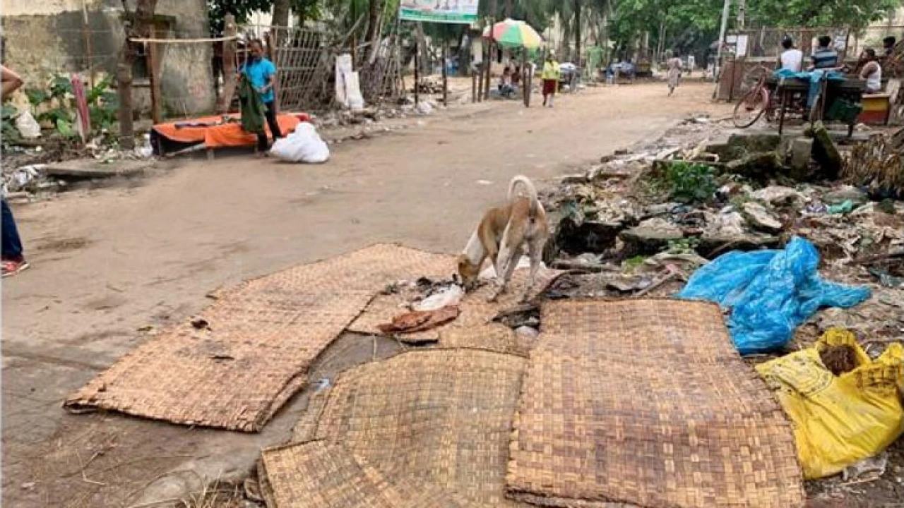 কোরবানির পশুর বর্জ্যের অব্যবস্থাপনায় ছড়াতে পারে যেসব রোগ
