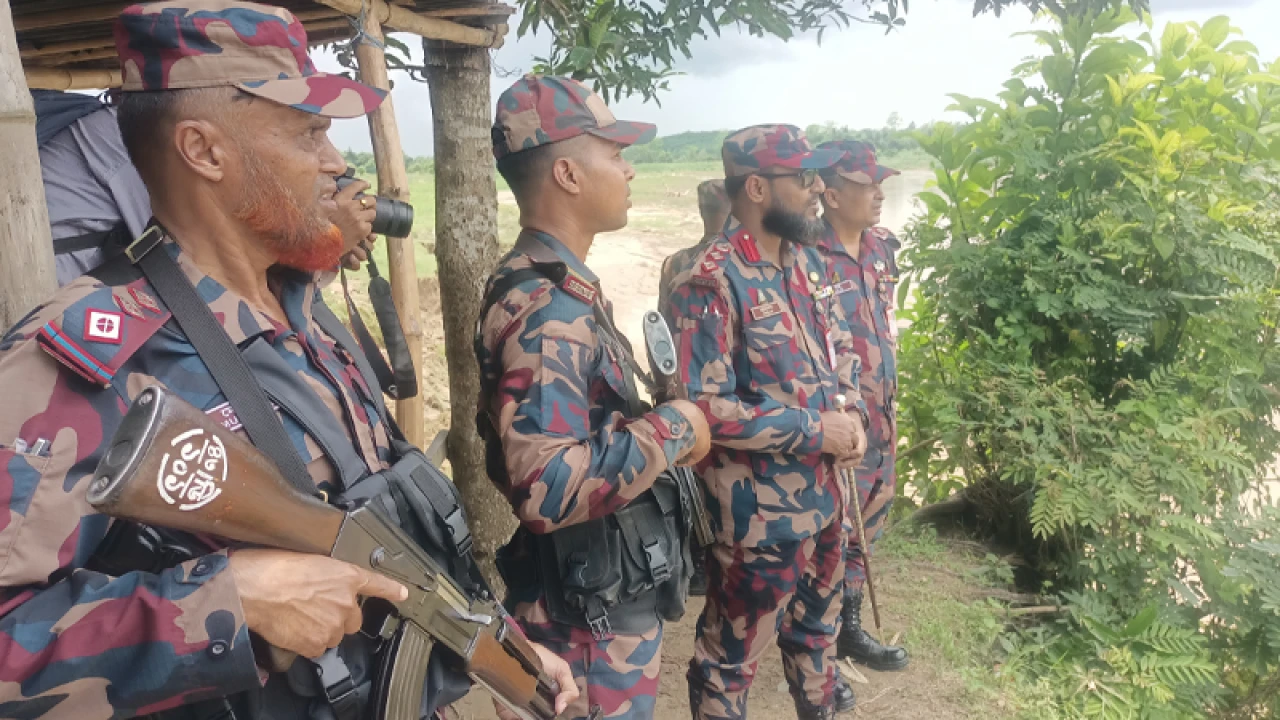 সীমান্তে চামড়া পাচার রোধে বিজিবির নিরাপত্তা জোরদার