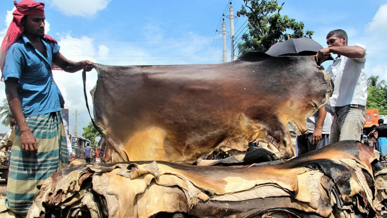 এবারও চামড়ার বাজারে ধস