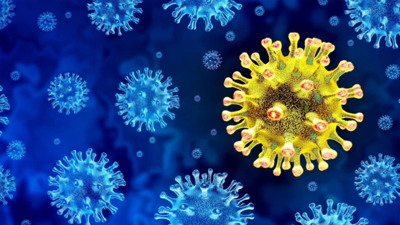 জরুরি প্রয়োজন ছাড়া ভারতে না যাওয়ার পরামর্শ