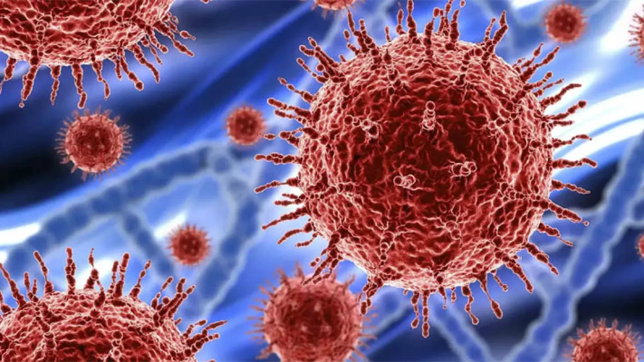 আরও ১৩ জনের করোনা শনাক্ত