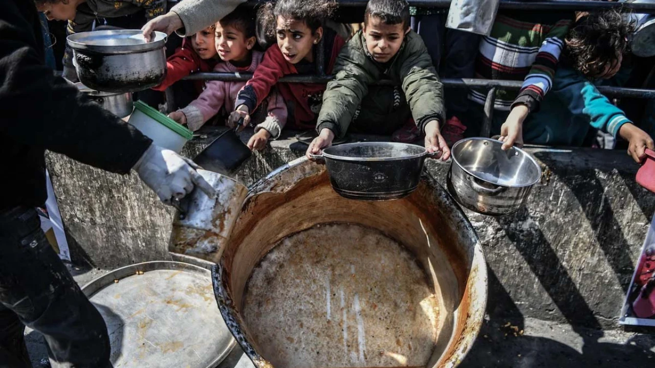 ৭৯ ফিলিস্তিনি নিহত