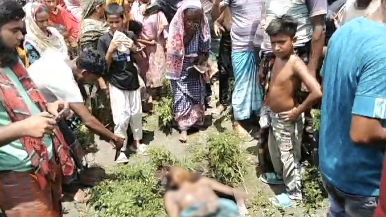 বাবাকে খুন করে বাড়িতে গিয়ে মাকে জানাল ছেলে