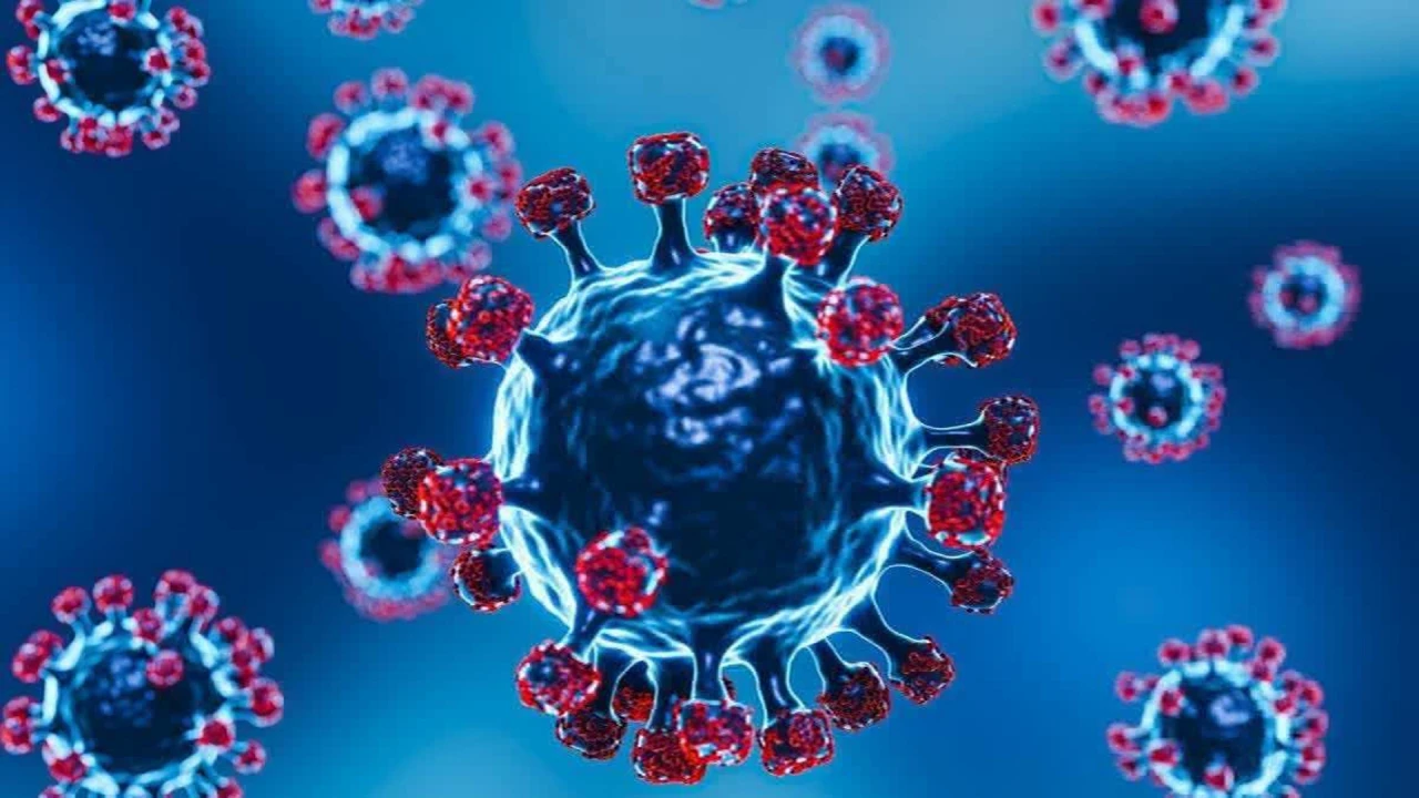 করোনার নতুন সাব-ভ্যারিয়েন্টে আক্রান্ত হলে যা করবেন