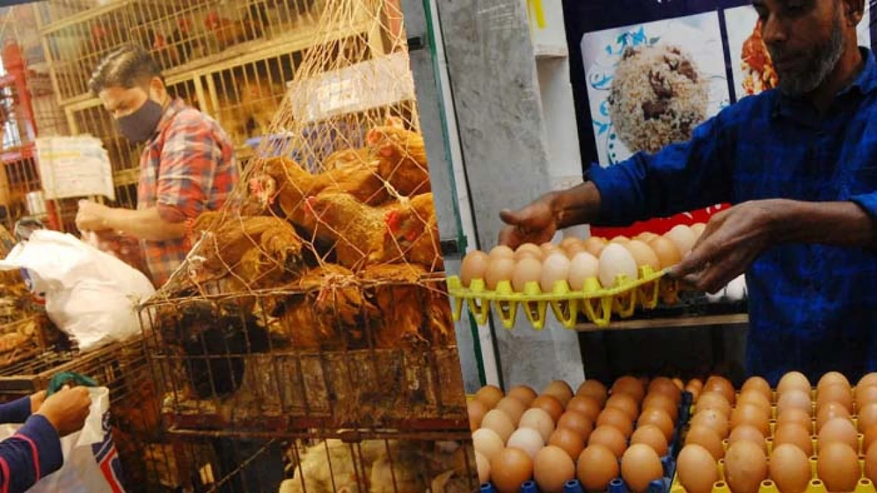 ডিম-মুরগিতে স্বস্তি, চালের বাজার চড়া