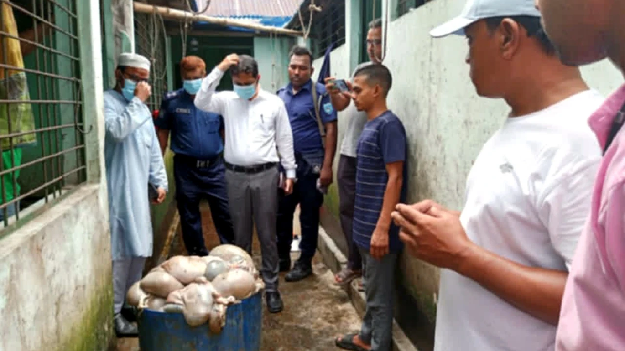 ছাগল-ভেড়ার পচা মাংস যেত অভিজাত হোটেলে