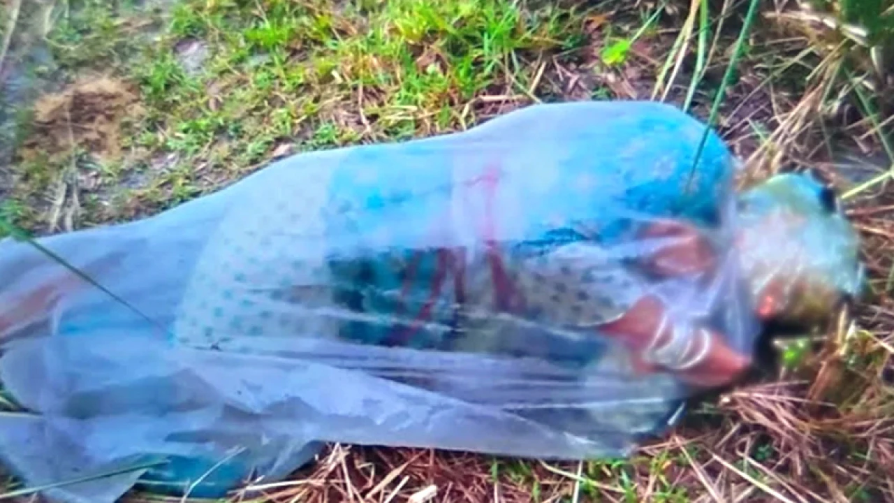 পলিথিনে মোড়ানো হাত-পা বাঁধা এসিডদগ্ধ নারীকে উদ্ধার