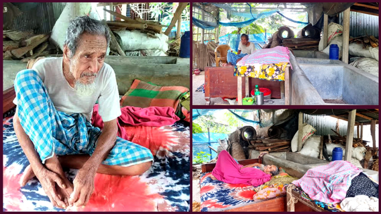 জমিজমা লিখেও গোয়ালঘরে ঠাঁই মা-বাবার