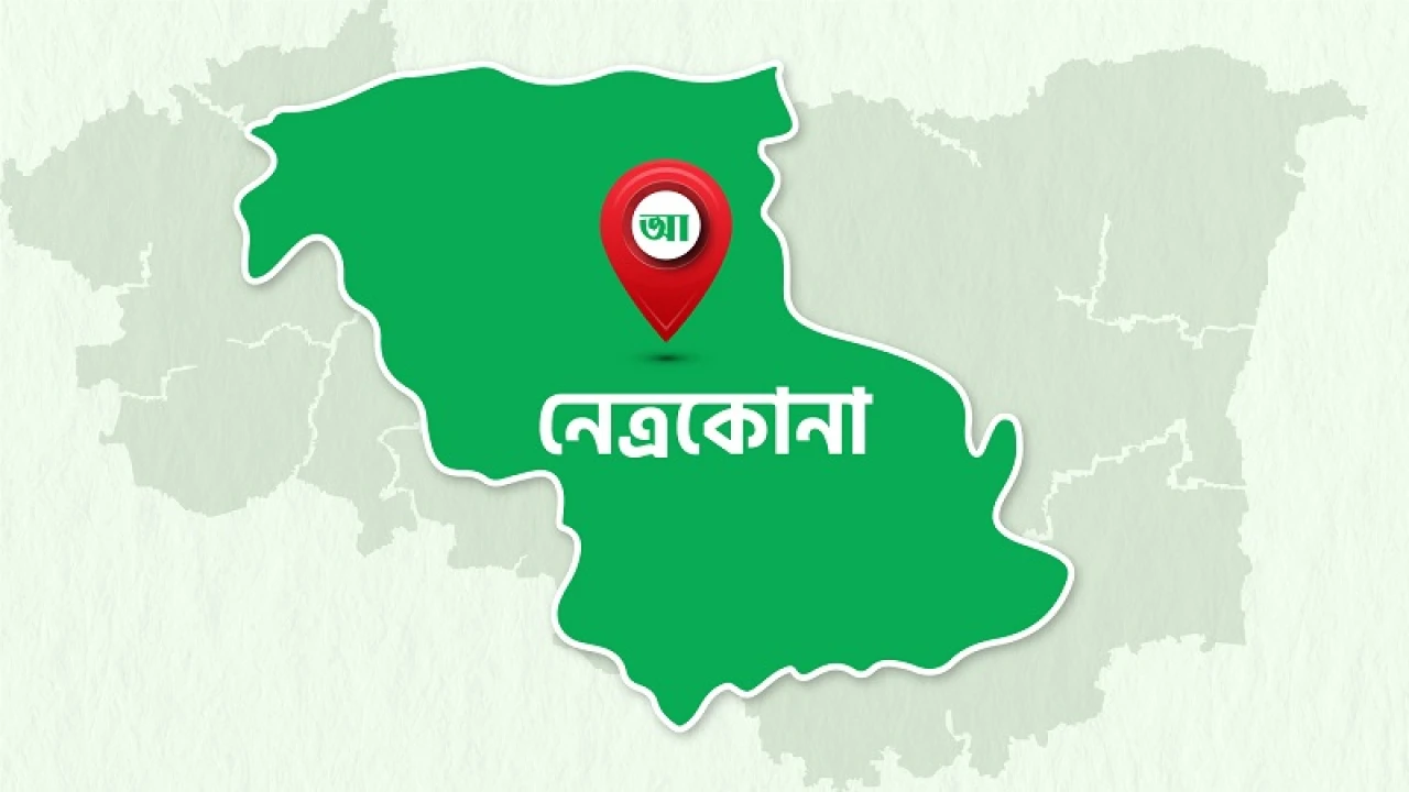 ট্রাক-সিএনজির সংঘর্ষে পথচারী নারীর মৃত্যু