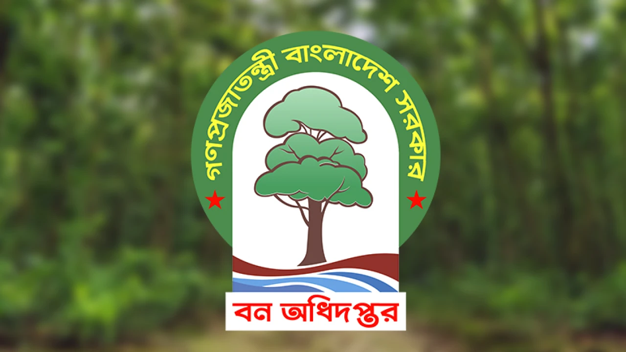 দুর্নীতির বিষবৃক্ষ বন অধিদপ্তরে