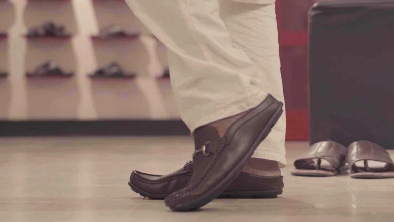 রাশিয়ার চলচ্চিত্র উৎসবে বাংলাদেশের ‘সোল মেট’