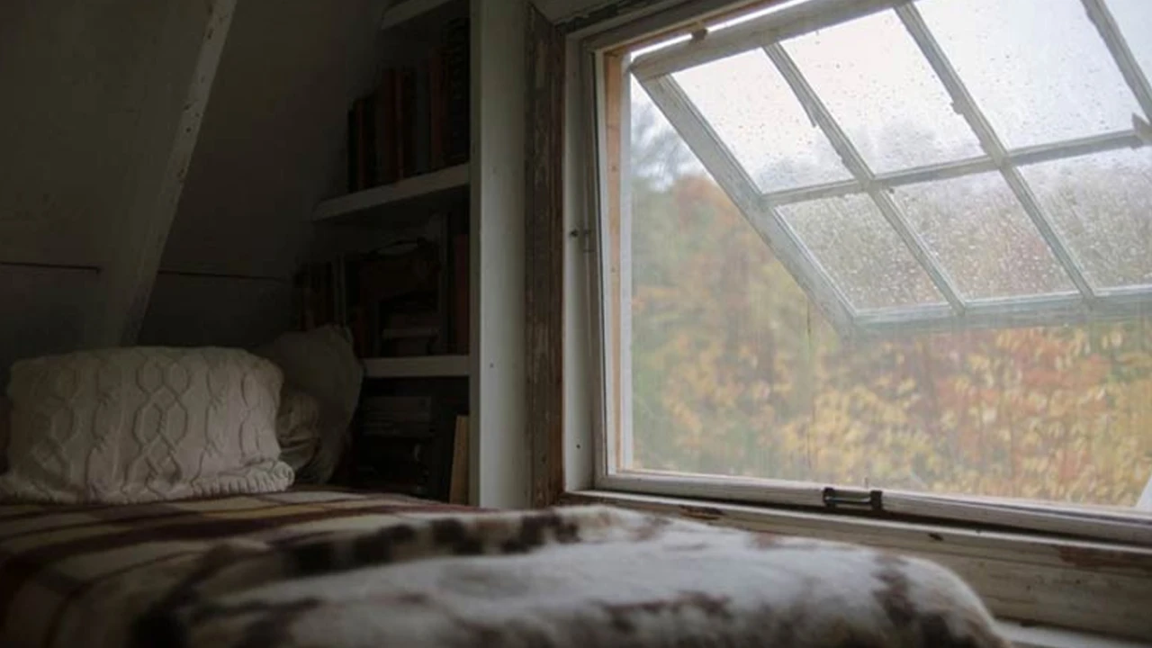 বৃষ্টির দিনে বিপদ এড়াতে বিশেষ সতর্কতা