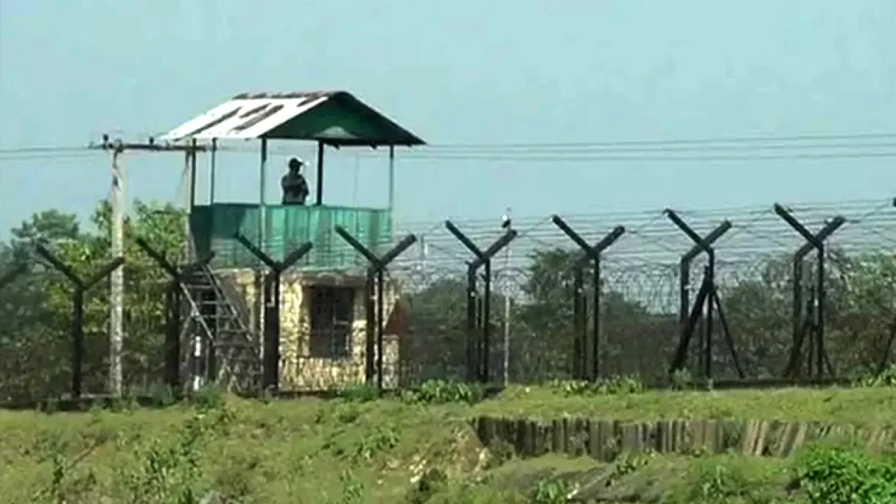 ৩ বাংলাদেশিকে ধরে নিয়ে গেছে বিএসএফ