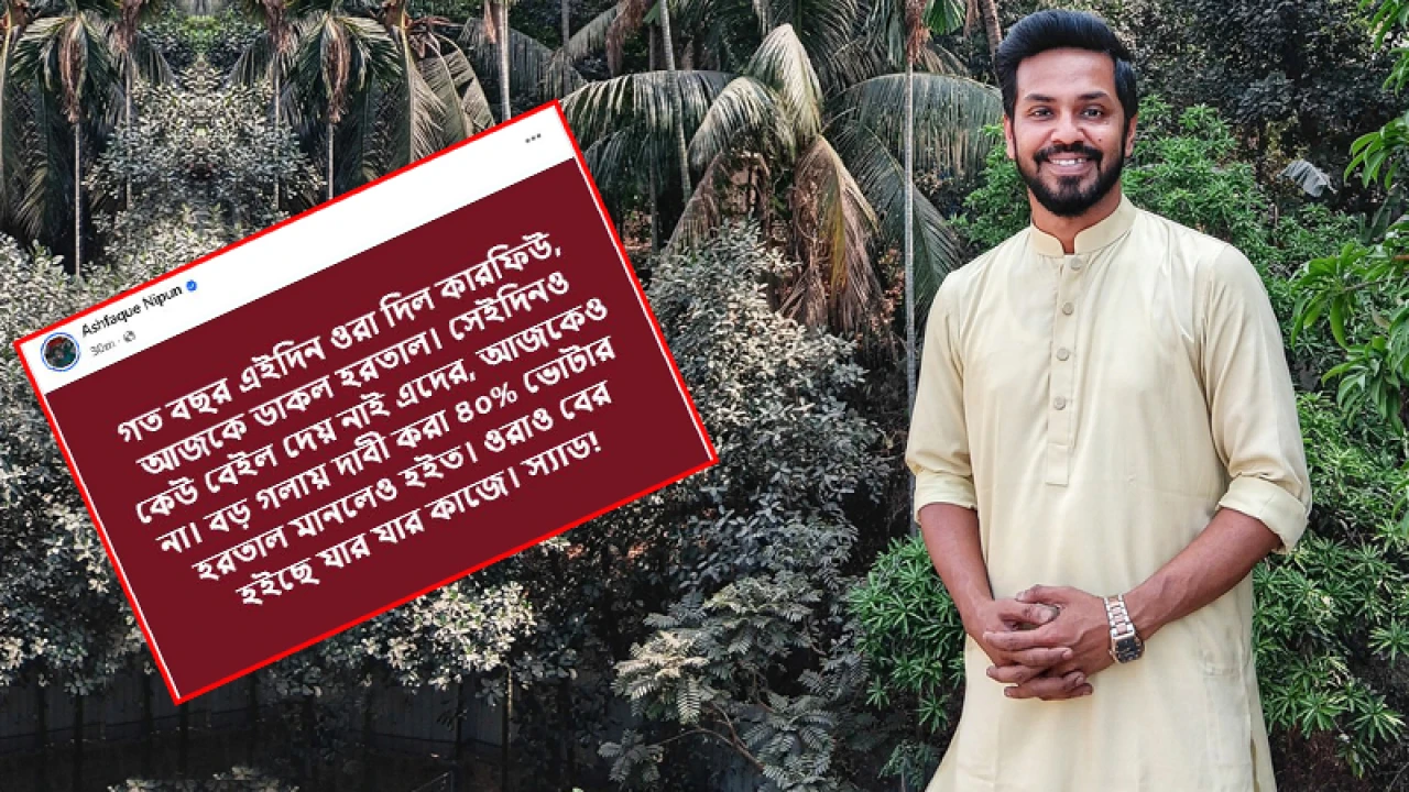 সেদিনও কেউ ‘বেইল’ দেয় নাই, আজকেও না: নিপুন