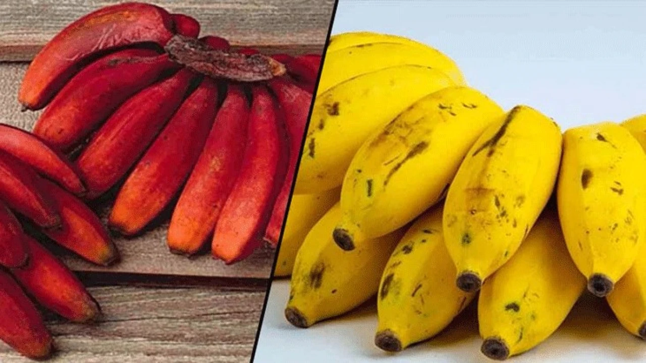 লাল না হলুদ, কোন কলা বেশি উপকারী?