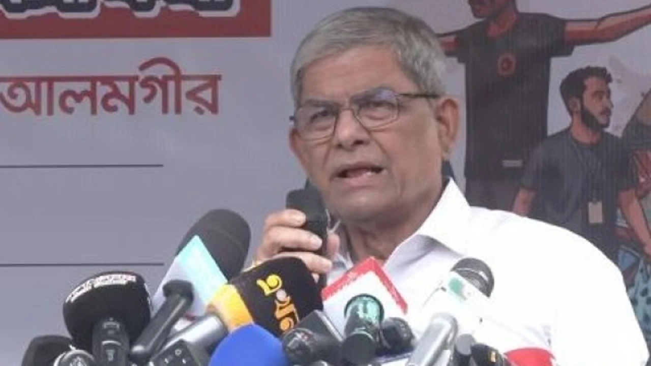 যে কারণে ‘বেদনায় নীল হয়েছেন’ মির্জা ফখরুল