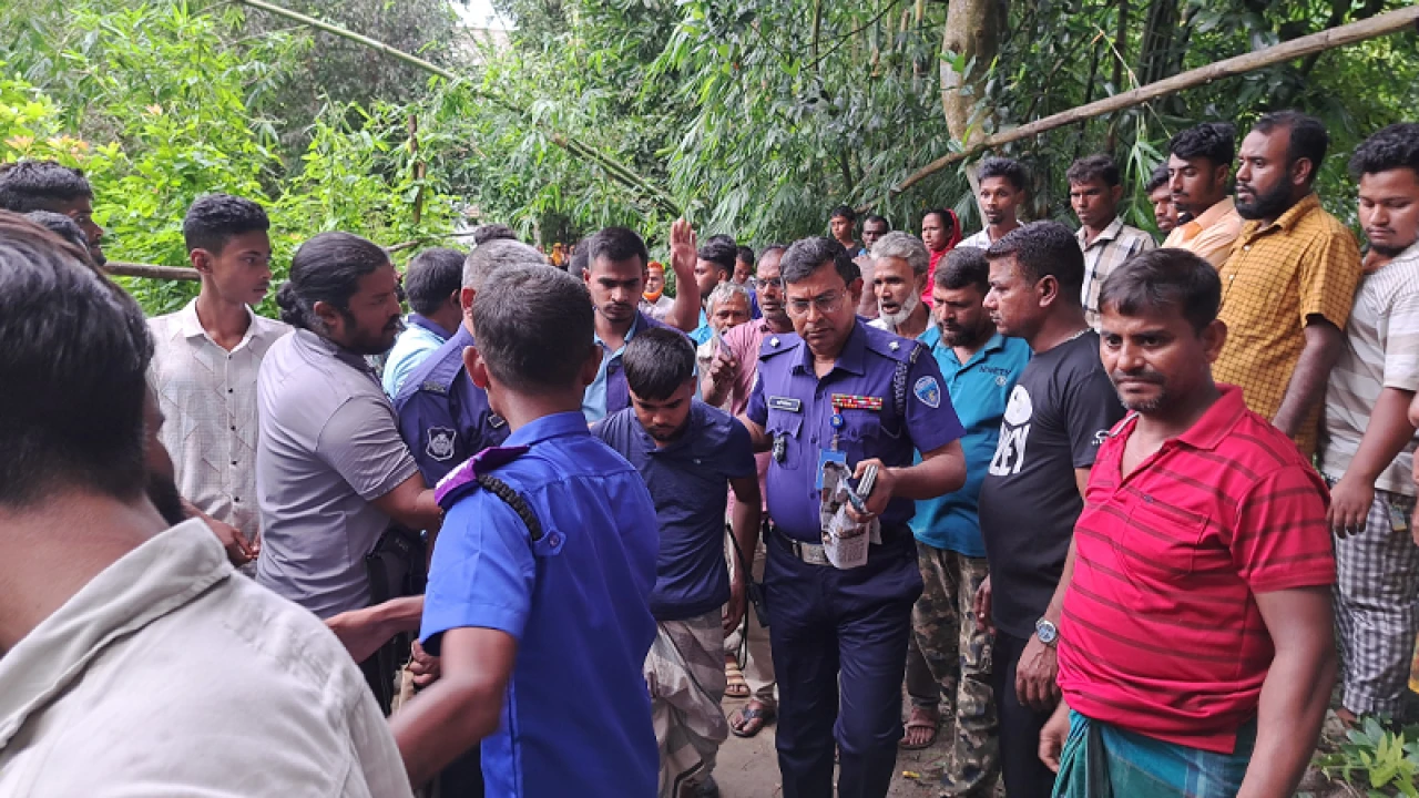 মতলব উত্তরে চাচার হাতে ভাতিজা খুন