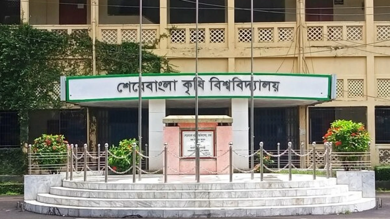 যুবদল নেতার সুপারিশে ছাড়া পেলেন ছাত্রলীগ নেতা
