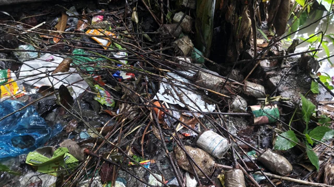 এক হাজার গাছের চারা বিতরণ না করে খালে ফেলে দিলেন অধ্যক্ষ