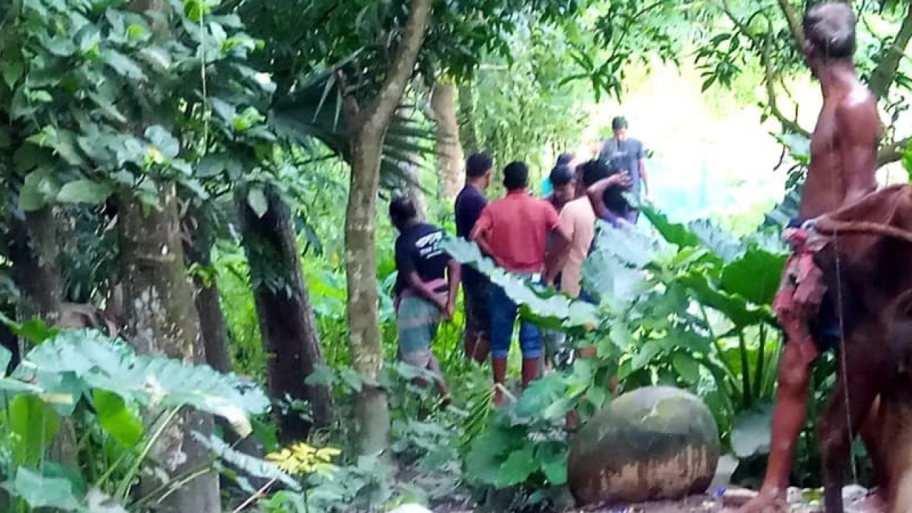 সড়কে পাট শুকানো নিয়ে দুপক্ষের সংঘর্ষ, আহত ১৭