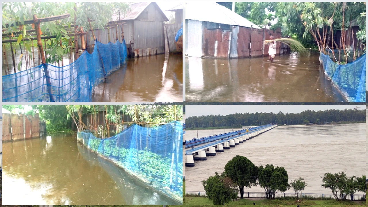 বিপৎসীমার ওপরে তিস্তার পানি, লালমনিরহাটের নিম্নাঞ্চল প্লাবিত