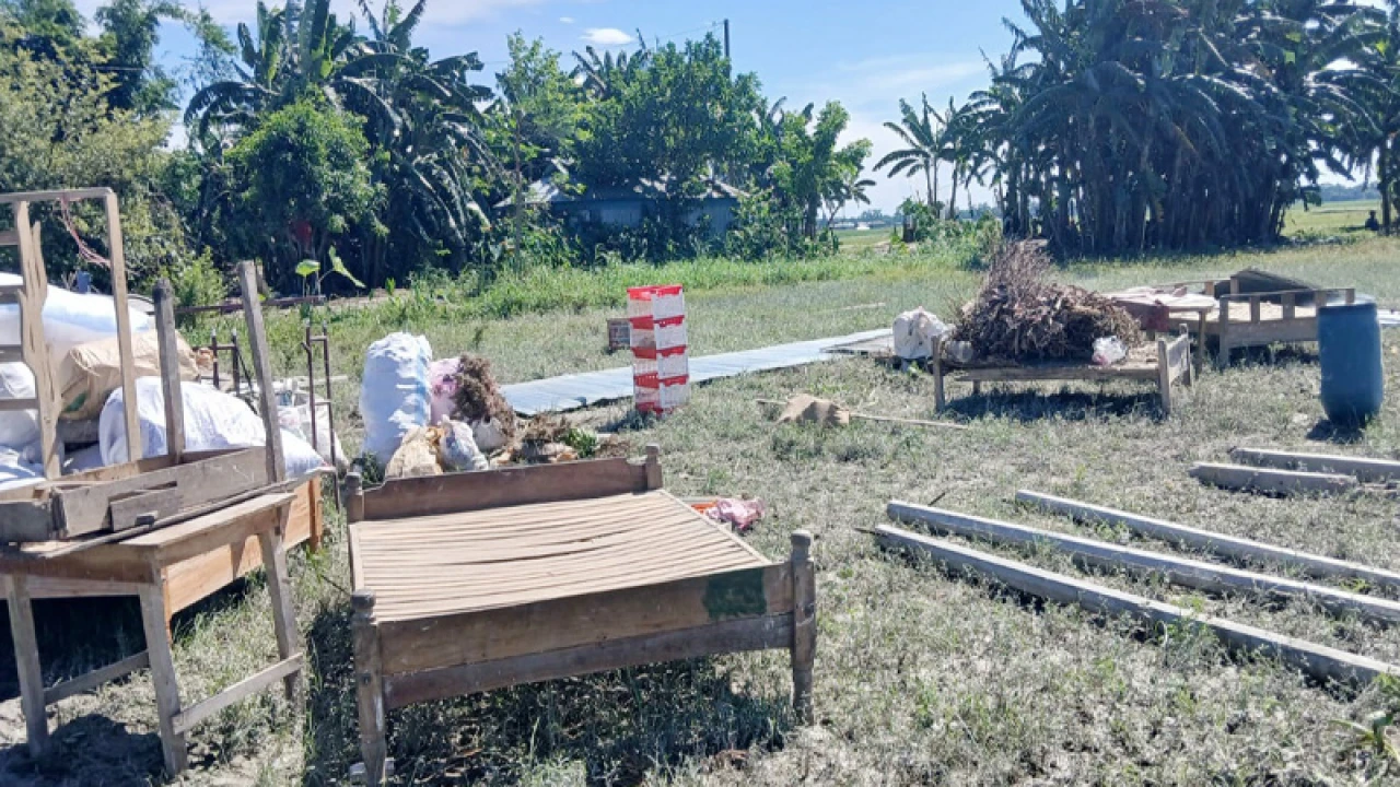 ৪ ঘন্টায় নদী গর্ভে ১৫ বাড়ি, মাথা গোঁজার ঠাঁই নাই 
