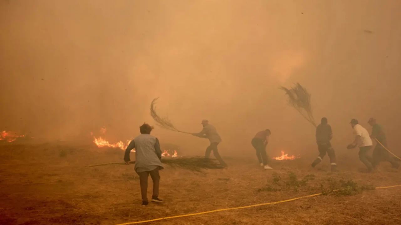 স্পেনে দাবানল, পুড়ছে হাজার হাজার হেক্টর জমি 