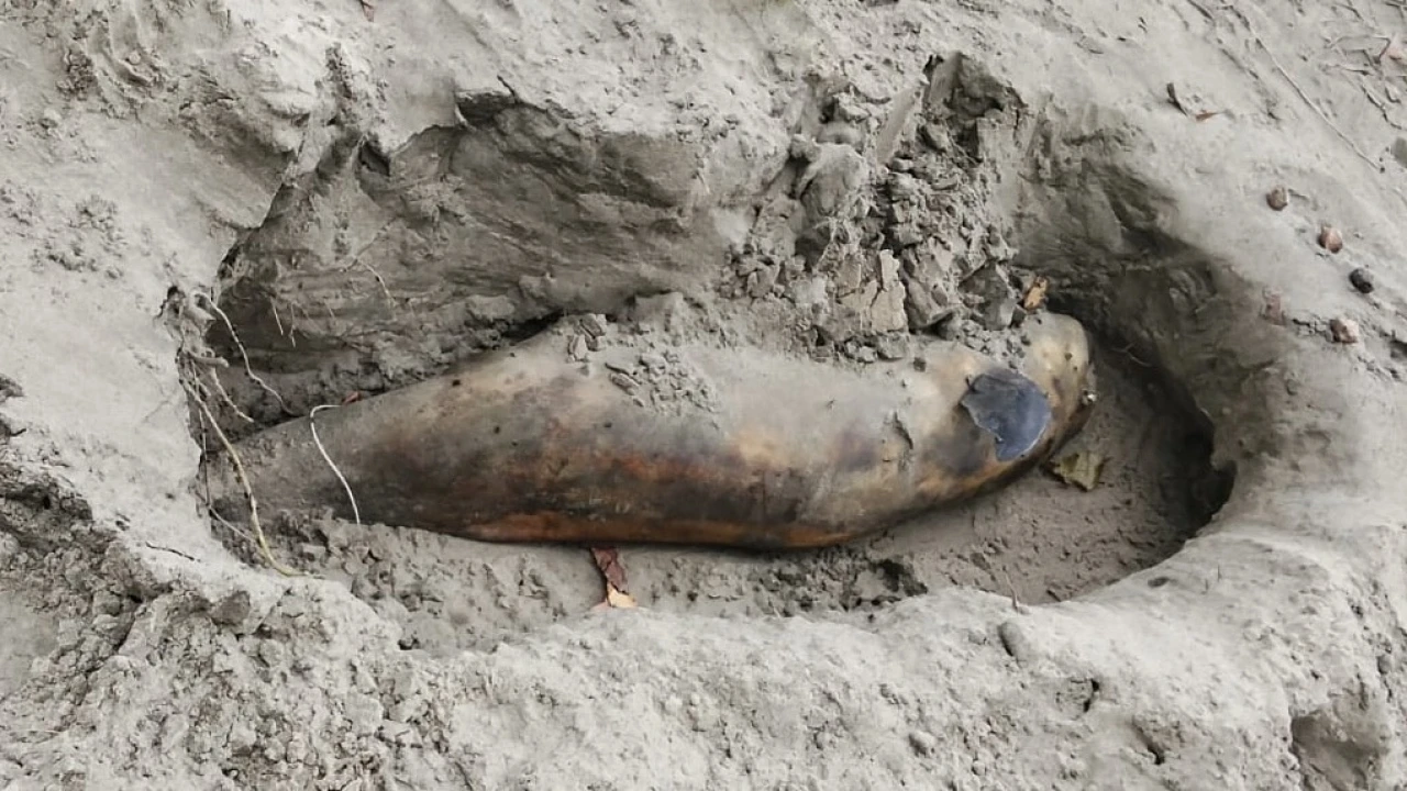 কুয়াকাটা সৈকতে ভেসে এল মৃত ডলফিন