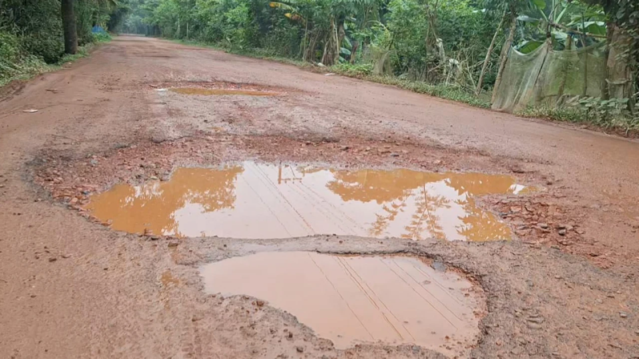 আমতলী-তালতলী সড়কের বেহাল দশা, চরম ভোগান্তি