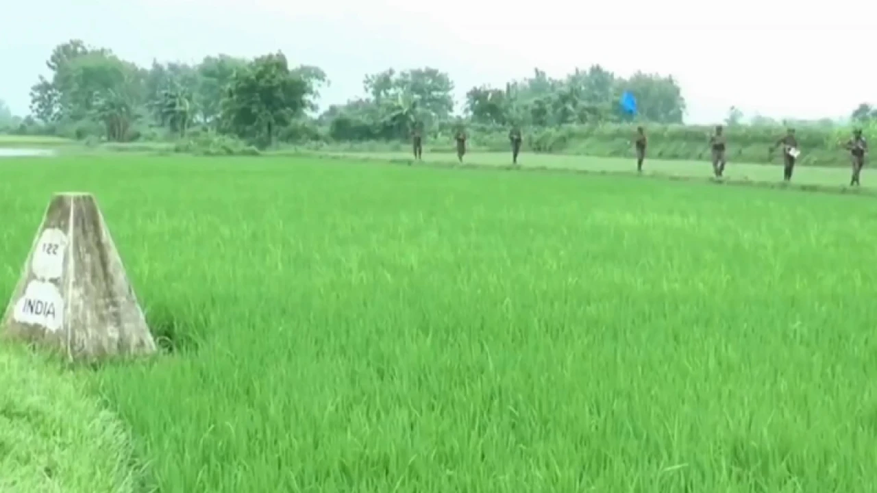 গাংনী সীমান্তে আটক বাংলাদেশিকে ফেরত দিল বিএসএফ