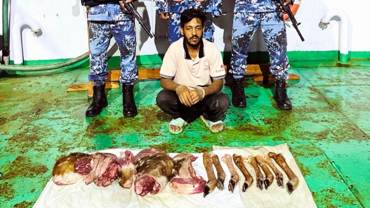 হরিণের মাংসসহ শিকারি আটক