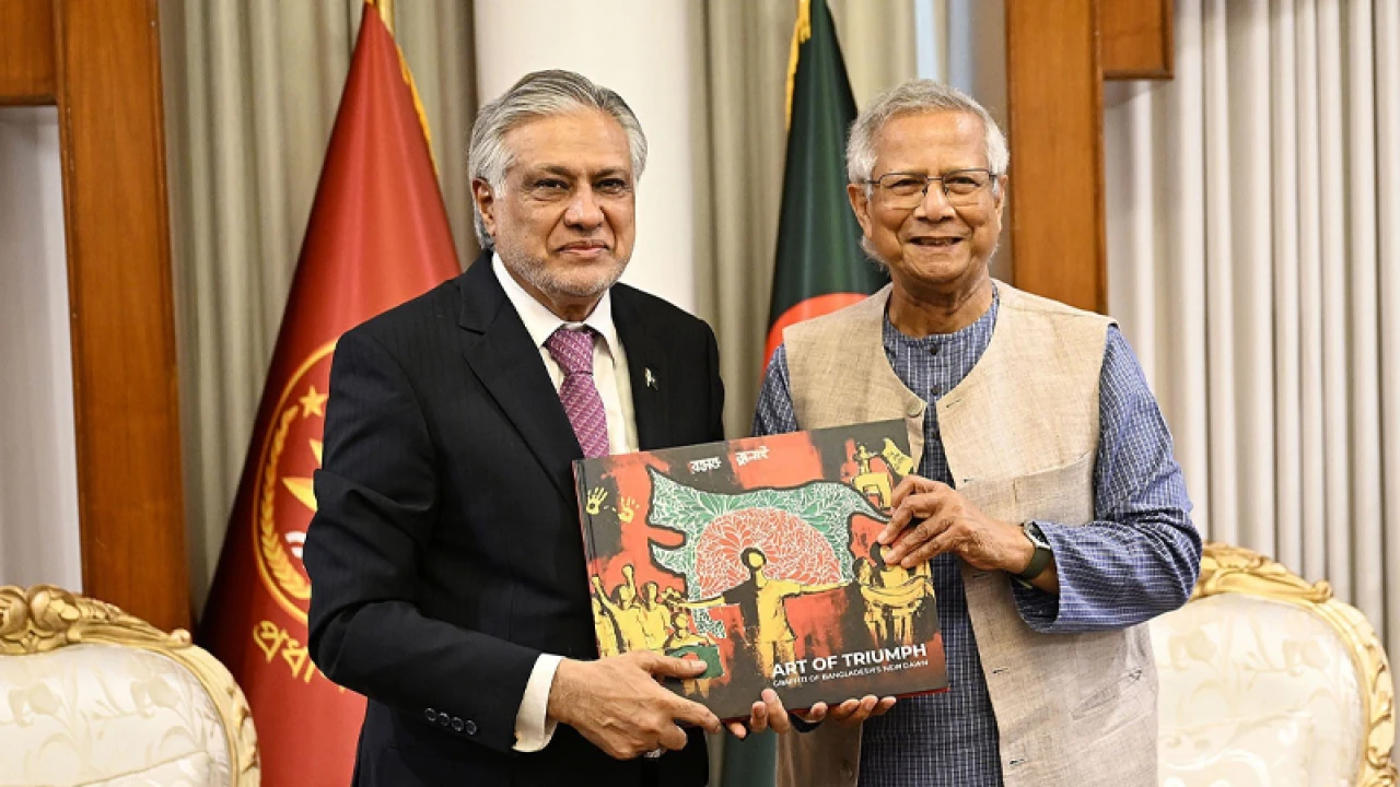 প্রধান উপদেষ্টার সঙ্গে পাকিস্তানের উপপ্রধানমন্ত্রীর সাক্ষাৎ