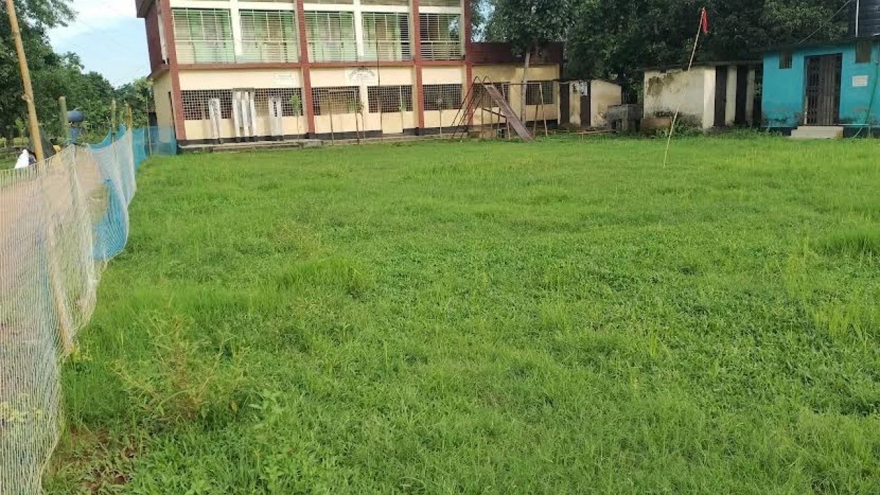 স্কুলের মাঠে হচ্ছে ঘাসের চাষ, লিজ দিয়েছেন প্রধান শিক্ষক!