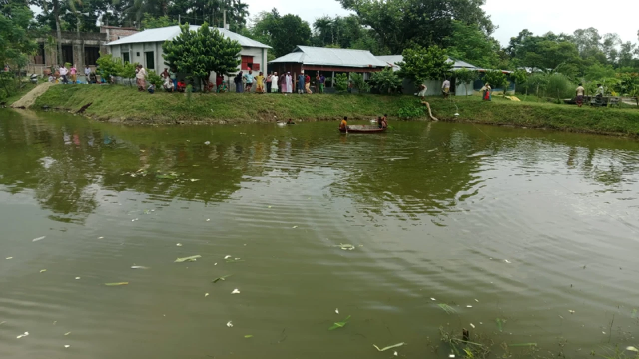 পুকুরে বিষ প্রয়োগ করে ৪ লক্ষাধিক টাকার মাছ নিধন