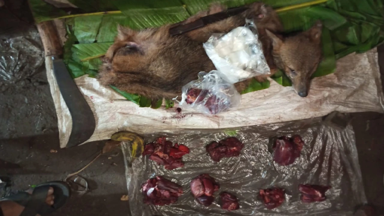 শিয়ালের মাংস বিক্রির অপরাধে কারাদণ্ড, গ্রেপ্তার ২