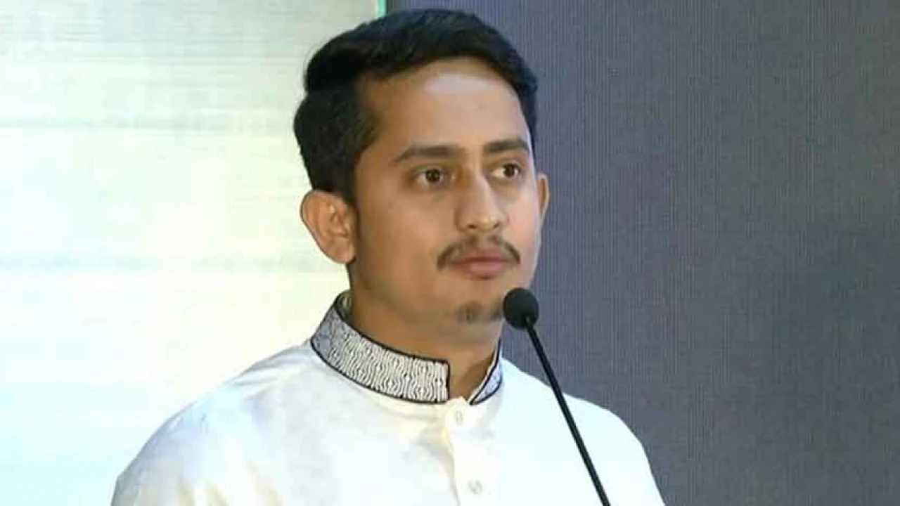 রিফাইন্ড আওয়ামী লীগের আইডিয়া ভারতের দেওয়া: সারজিস 