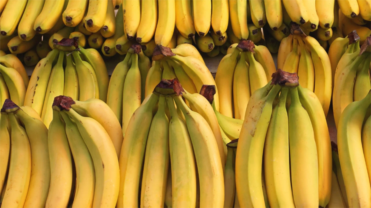 ৩৫ লাখে কলা কেনায় ক্রিকেট বোর্ডকে হাইকোর্টের নোটিশ