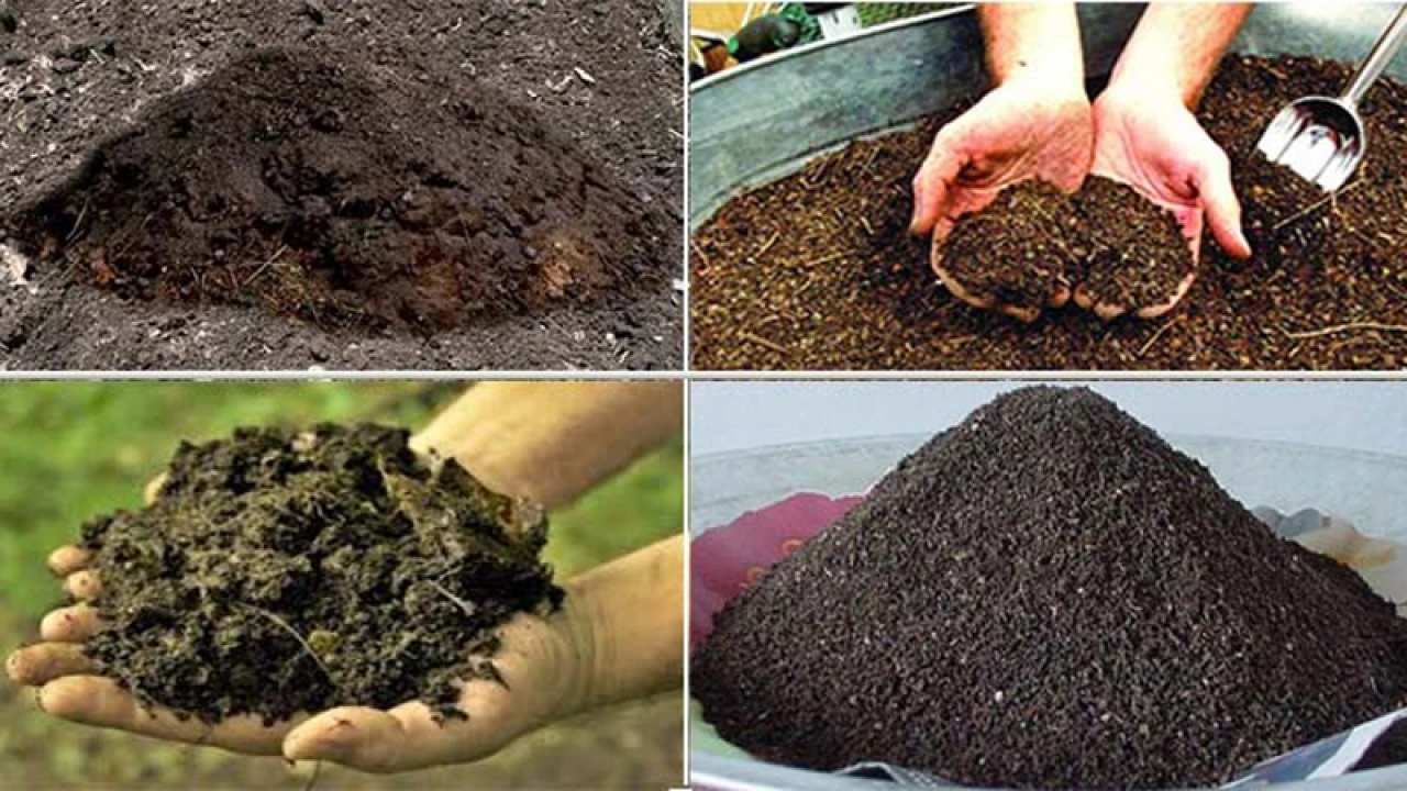 জৈব সারে টেকসই হতে পারে কৃষি
