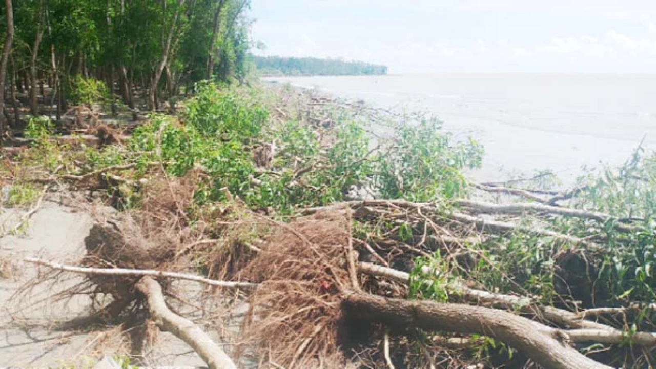 সমুদ্রগর্ভে বিলীন হচ্ছে ‘শুভ সন্ধ্যা’ সমুদ্রসৈকত